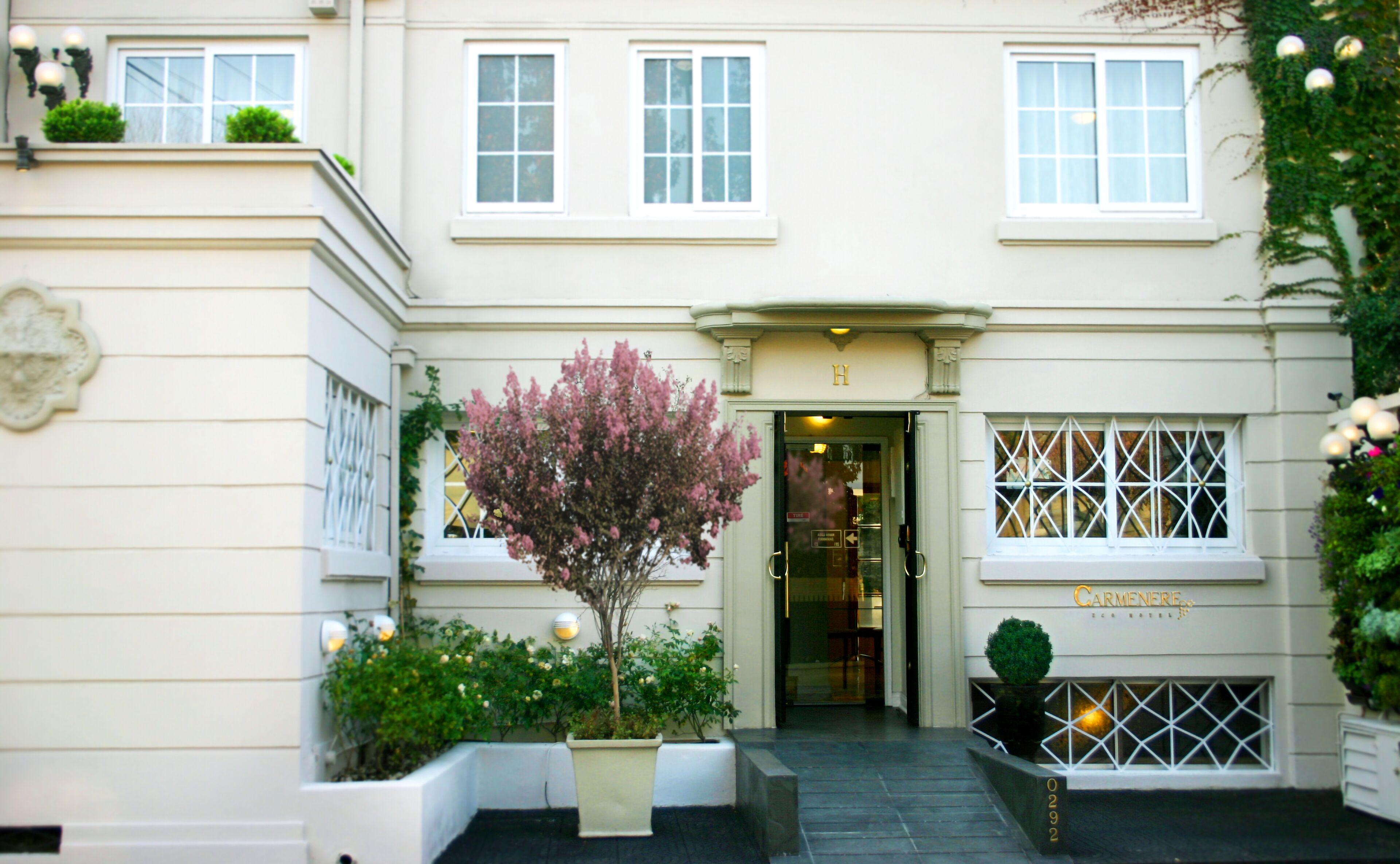 Carmenere Ecohotel — Billeder 2